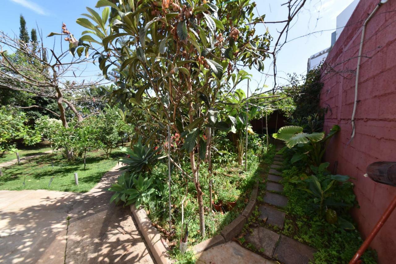 Casa El Tonelero Con Jardin Y Piscina Privada Villa กัลดาร์ ภายนอก รูปภาพ